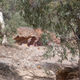 Illustration for article titled Arkaroola, An Ancient Wilderness